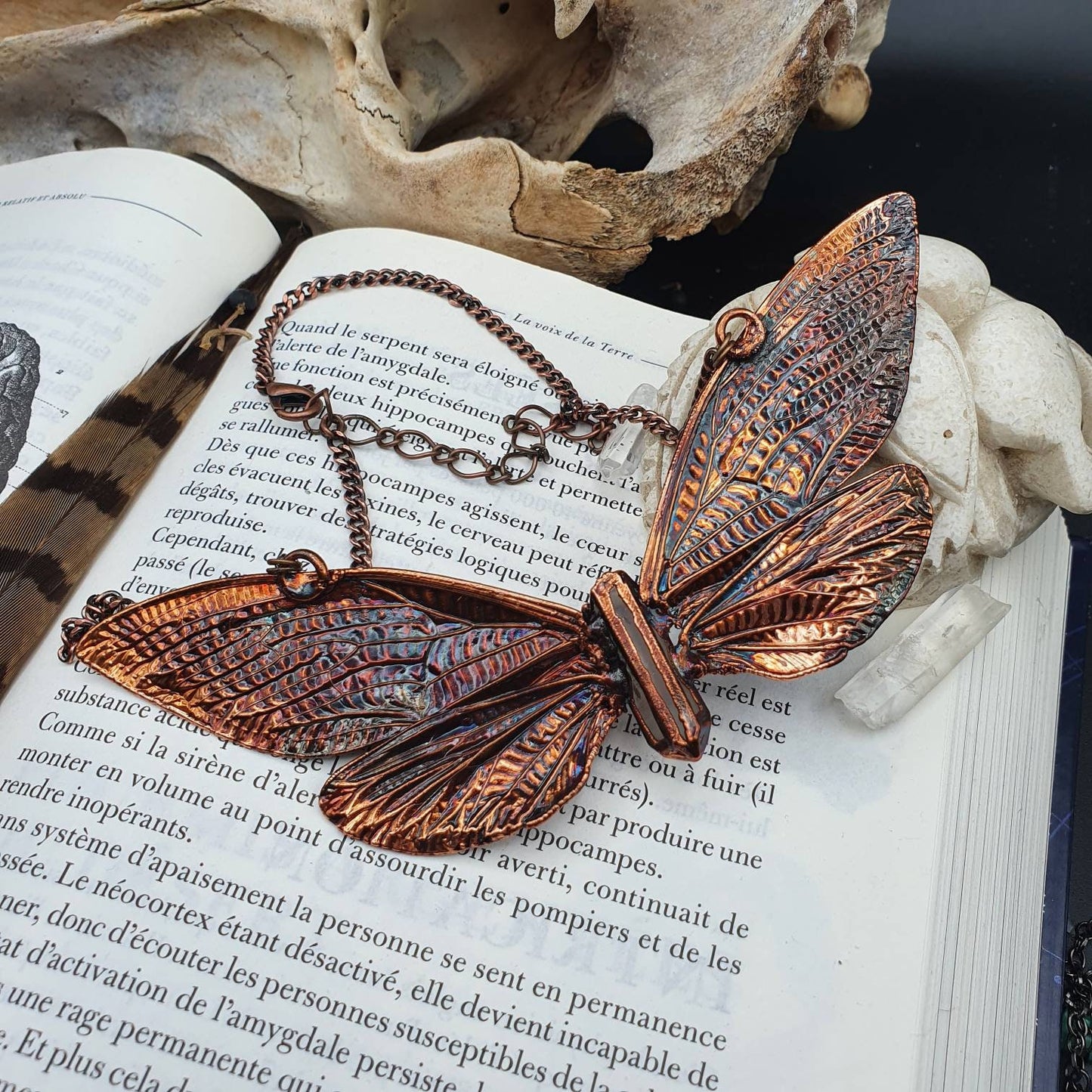 Real huge tropical cicada eformed with copper necklace on a caged quartz, torque oversize necklace